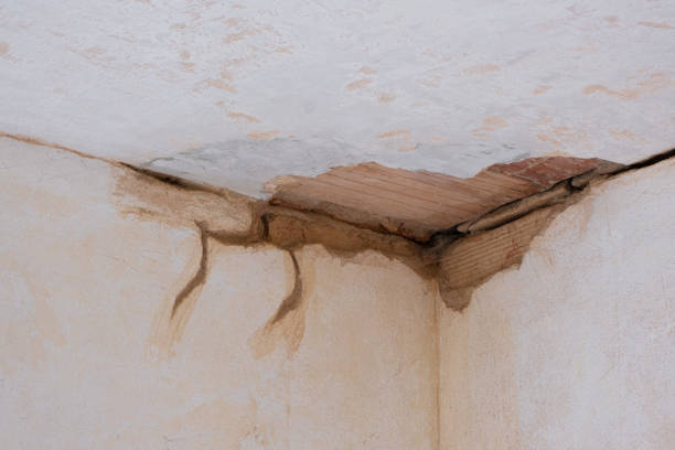Best Basement water damage restoration  in Marlow, OK