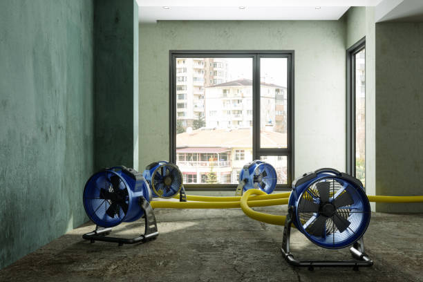 Best Water damage restoration near me  in Marlow, OK